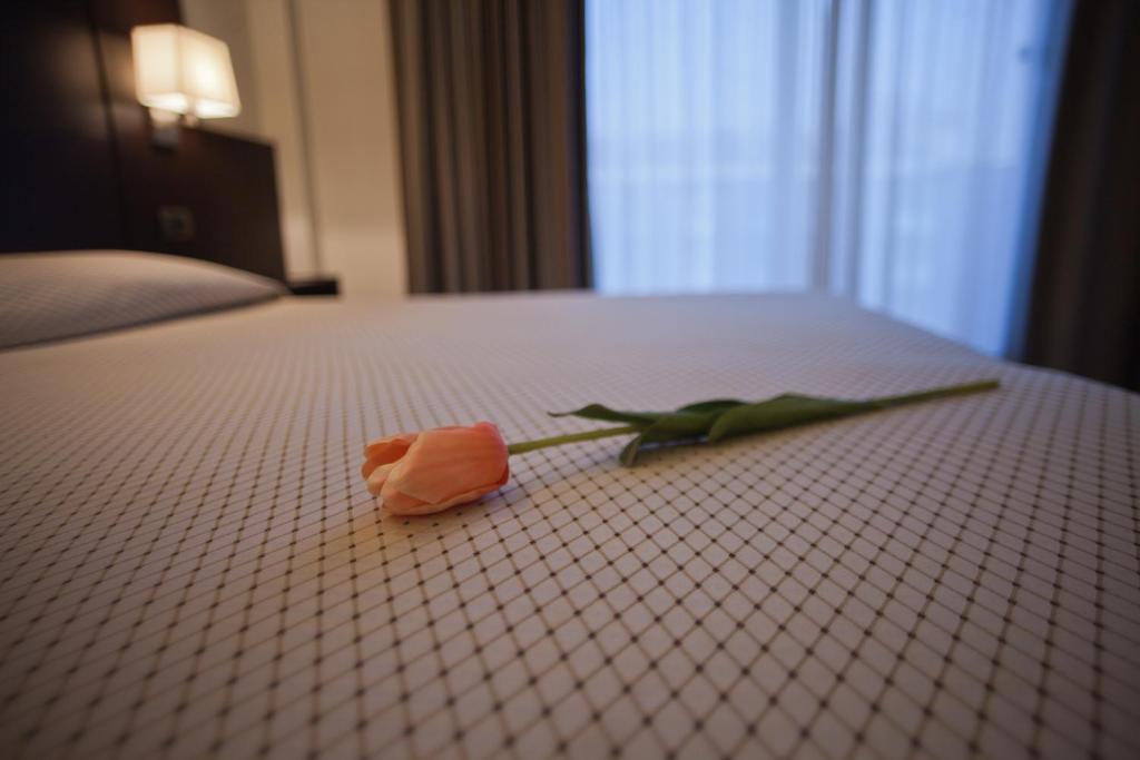 Hotel Principe Residence Vasto Rom bilde